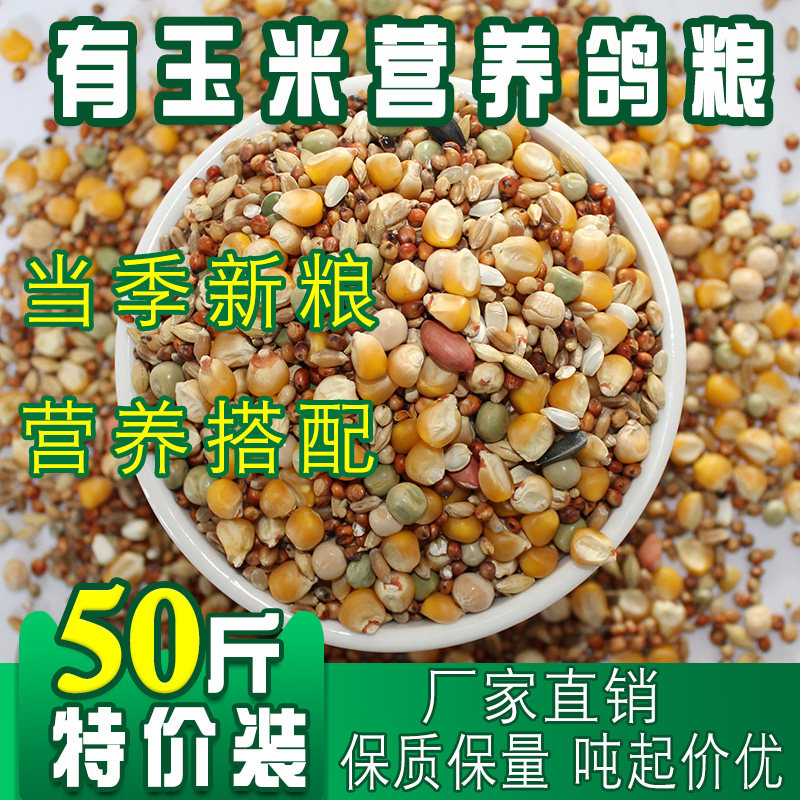 (50 catty) Nutrition with corn nutrient race Fly feed letter dove ornamental pigeon food and bird food 50 catty