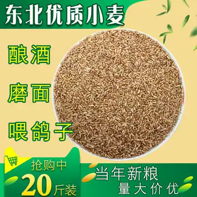 2020 New wheat wheat Northeast skinned wheat wheatgrass ground noodles to make wine and feed pigeons 20 kg 10kg