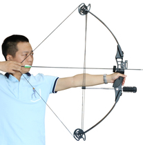 Entry-level composite bow professional sports set alloy bow and arrow small high precision outdoor shooting pulley bow