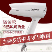 Flying Coelectric hair dryer FH6255 Hairdryer Wind-dryer Small Power Dormitory Foldable Student Dorm Room Cold Hot Wind Gale