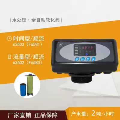 Water softening equipment Runxin control valve automatic softening valve multi-channel filter control valve F65B1 F65B3