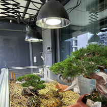 Turtle basking lamp for coloring calcium supplement lizard climbing box 35w-50w-70w solar full spectrum metal halide lamp UVB turtle lamp