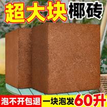 Large coconut brick nutritious soil for flower cultivation universal coconut bran soil for vegetable cultivation special coarse coconut shell coconut brick soil for flower cultivation