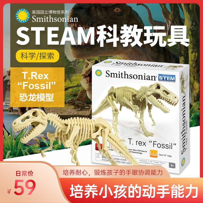 STEAM Scientific Experimental Toy Dinosaur Fossil Assembly Model Collection Art Pendulum Aids Birthday Gifts