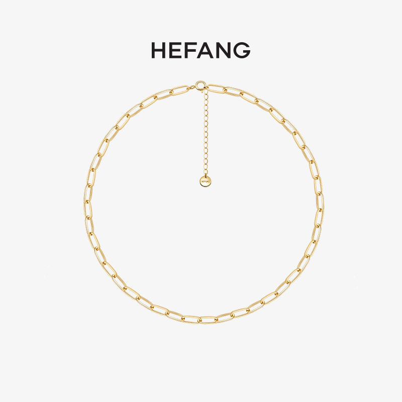 HEFANG Where Jewels Gold Chain Necklace Lady Brief Sweater Chain Lock Bone Chain Pendant with Ornament Neck Necklace