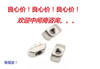 Special European standard T-shaped nut block for aluminum extrusion material 20 30 40 45 type M3-M4-M5-M6-M8 hammer boat shape