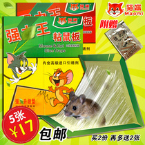 Cat strong mouse sticky mouse board strong mouse sticky mouse paste rodent repelling rodent control home mousetrap poison