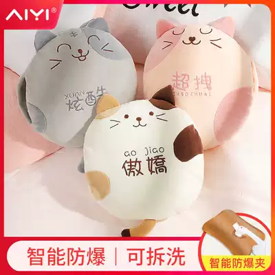 Lucky cat explosion-proof hot water bottle rechargeable warm water bag female belly student plush cute water injection electric hand warmer