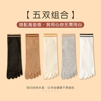 [Комбинация 4] WBD1-2-4-5-6DH (5 пары)