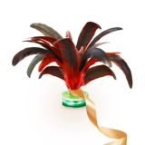 Рок с веревками с веревками, ученики детской начальной школы первые -Спортивные соревнования по детскому саду, веревочные перья