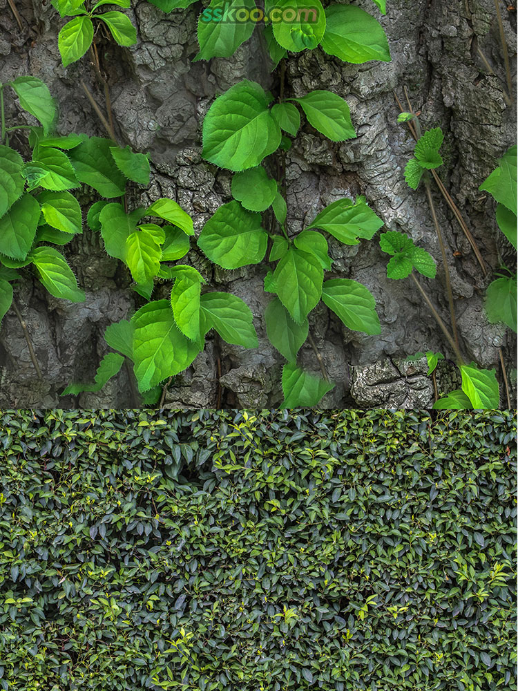 草地草坪绿色植物高清JPG摄影图片4K壁纸背景海报插图设计素材插图4