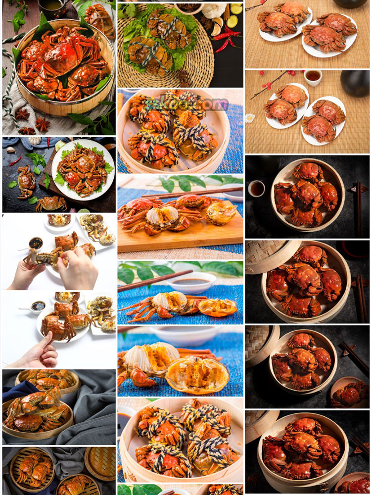 大闸蟹海鲜图片螃蟹特写美食菜单画册海报设计高清图片摄影素材插图8