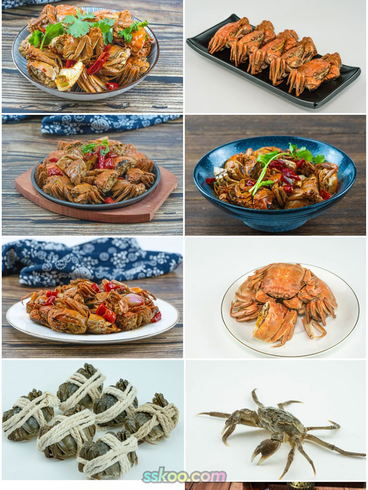 大闸蟹海鲜图片螃蟹特写美食菜单画册海报设计高清图片摄影素材插图2