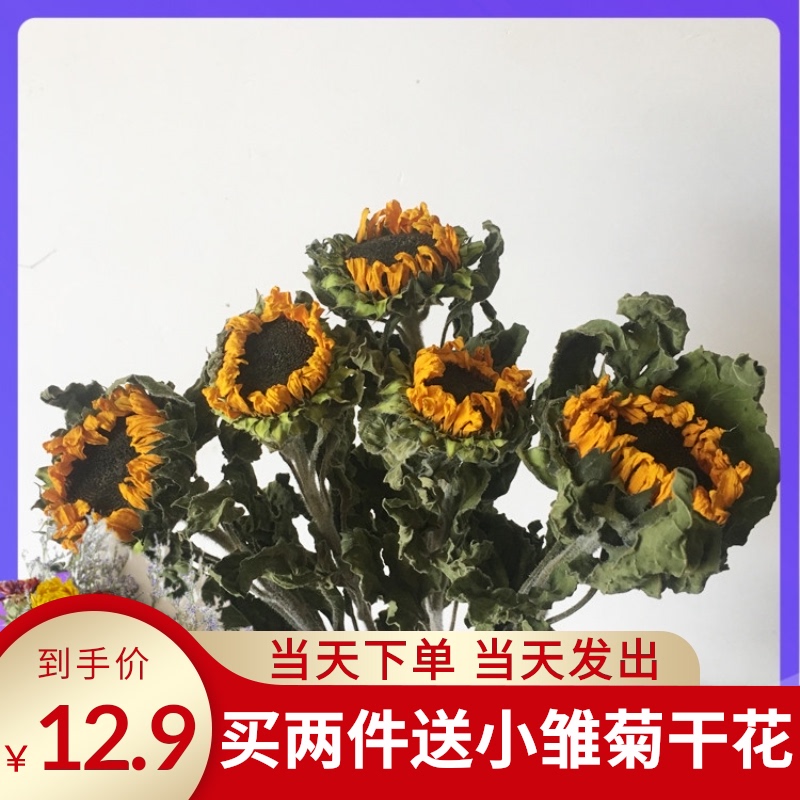 Sunflower dried flowers Nordic style ins simple small fresh home living room decoration ornaments dried flower bouquet sunflower