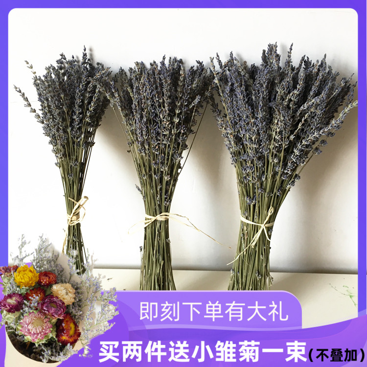 Lavender Dried Flowers Bouquet Fields Garden Wind Small Frescoed Bedroom Living-room Living Room Home Decoration Pendulum Flower Arrangement Lavender Lavender