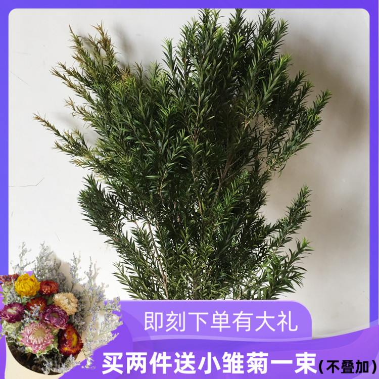 Millet Leaves Dry Flower Dry Grass Nordic Wind Ins Minima Living Room Home Decoration Pendulum Pieces Small Frescoed Christmas Tree Flowers