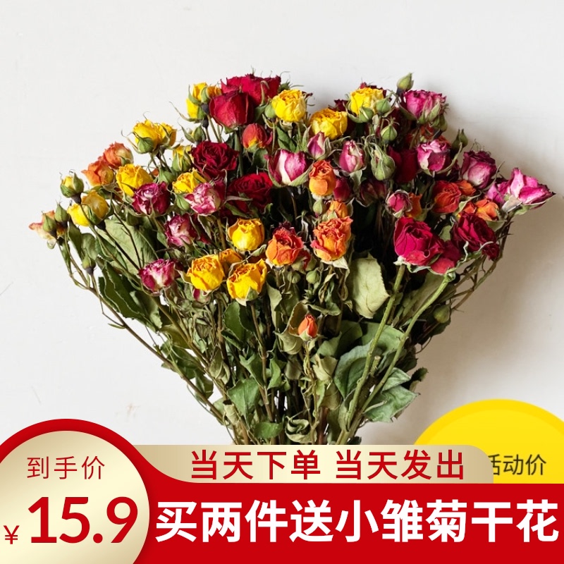 Small roses Dried flowers Dried roses Dried bouquets Living room Hotel floral home furnishings Decorative dried flowers Dried flowers Roses