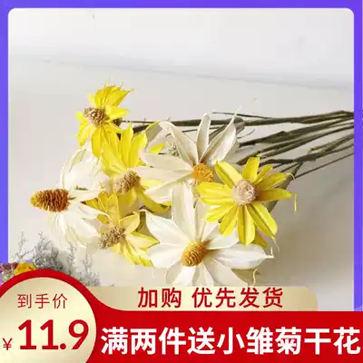 Wenxin orchid dry flower bouquet hipster living room home decoration ornaments eternal flower shooting props small daisy