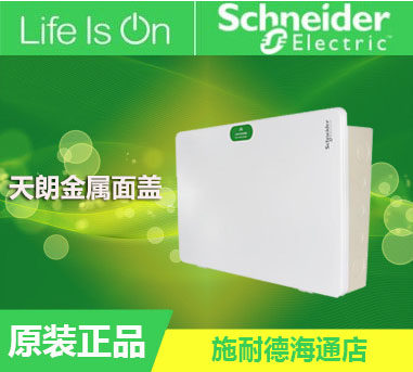 Schneider Tianlang Series Metal Distribution Box White Concealed Metal Single Row 16-bit 16 Circuit Distribution Box