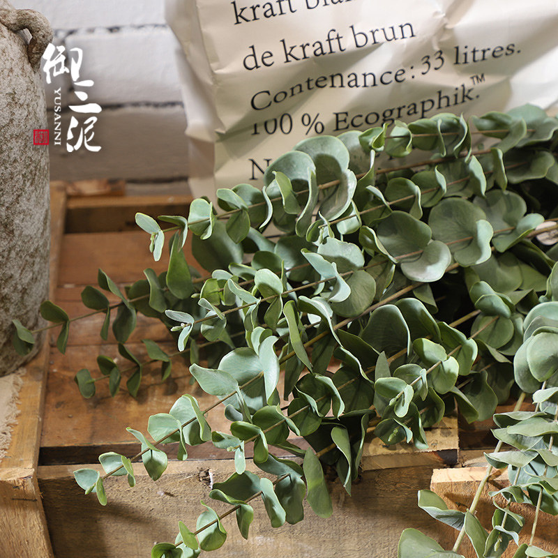 Simulation flower manufacturer direct marketing simulation plant wholesale simulation leaf simulation money leaf gold money hay Eugalie leaf