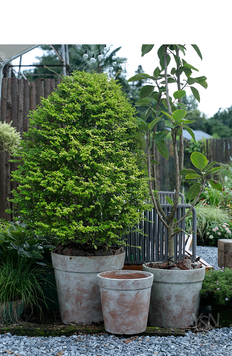 Royal three kind of saplings in mud fleshy red pot do old coarse pottery flowerpot legend garden hotel decoration restoring ancient ways