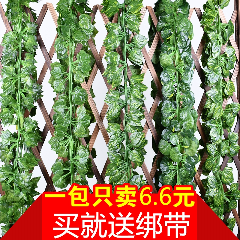 Mô phỏng mây hoa nho giả hoa nho cây nho lá lá xanh lá nước ống trần trang trí nhựa cây xanh - Hoa nhân tạo / Cây / Trái cây