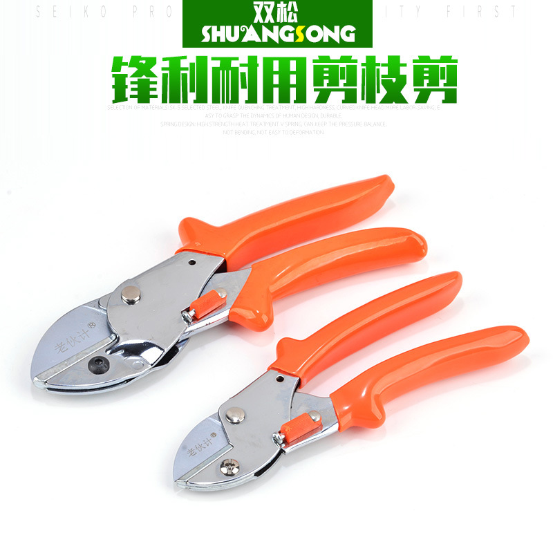 Imported quality fruit branch scissors fish head shape Lux shears gardening pruning pruning shears labor-saving garden scissors