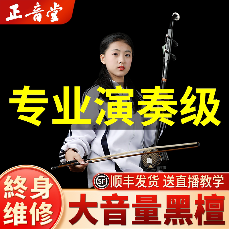 Zhengyintang Erhu Musical Instrument Adult Professional Performance Black Ebony Erhu Beginner Grading Huqin Factory Direct Sales