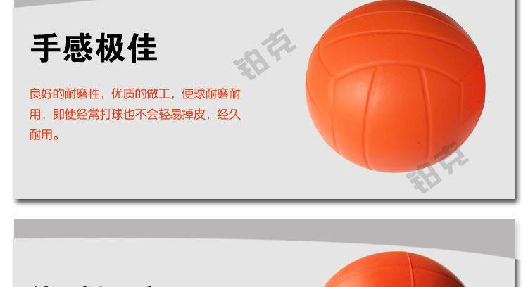 Ballon de volley-ball - Ref 2013176 Image 16