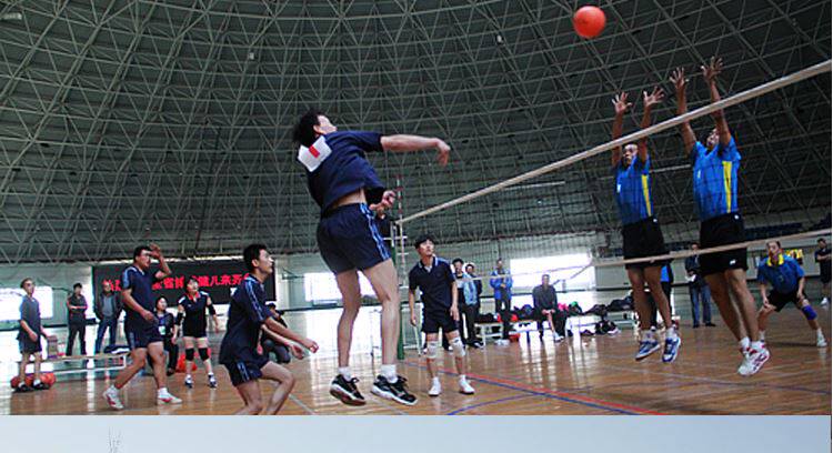 Ballon de volley-ball - Ref 2013176 Image 30