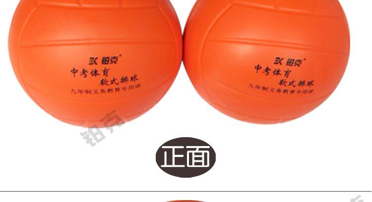 Ballon de volley-ball - Ref 2013176 Image 23