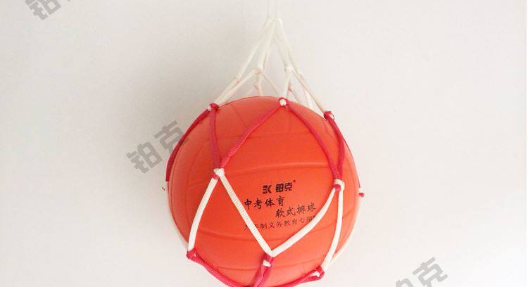Ballon de volley-ball - Ref 2013176 Image 7