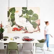 Dutch IXXI Salmon-Crested Cockatoo Beauty Canopy Parrot Decoration Painting Wall Deco