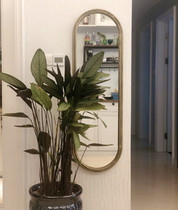 European-style full-body mirror modern minimalist home mirror Nordic gold wrought iron wall mirror decorative mirror