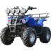 Bulls ATV 125cc xe đạp địa hình địa hình xe máy bốn bánh xe mô tô địa hình - Xe đạp quad