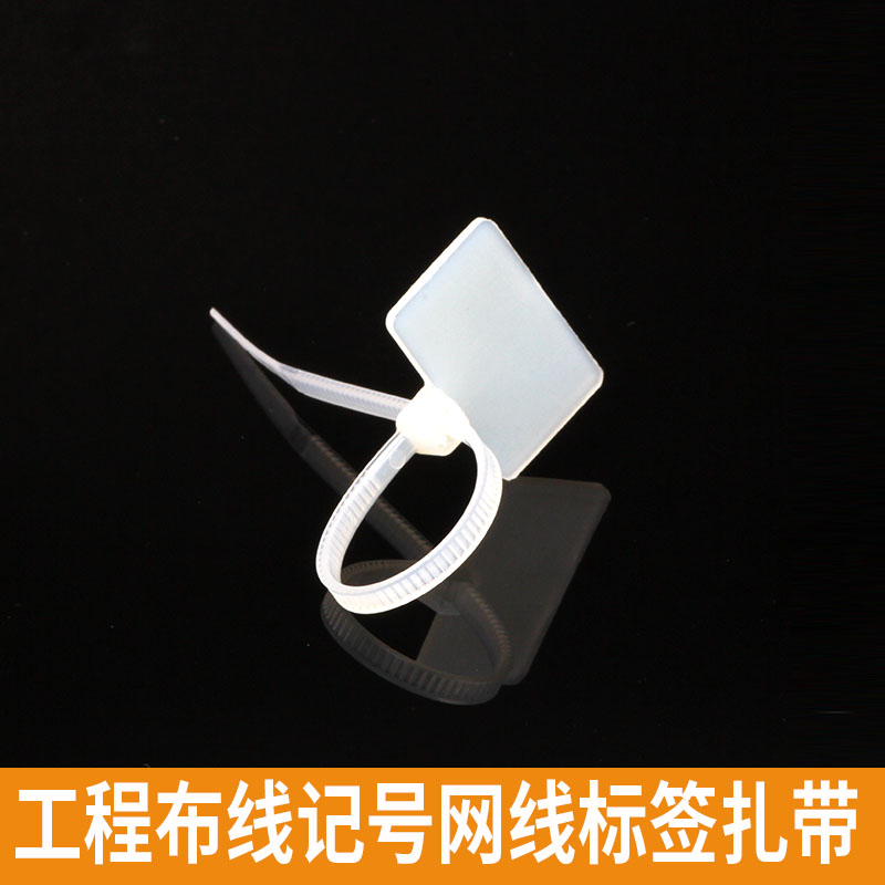 Engineering Wiring Network Route Label Tie ticks Pendant Card Ties Signage strap Pendant Strap 100