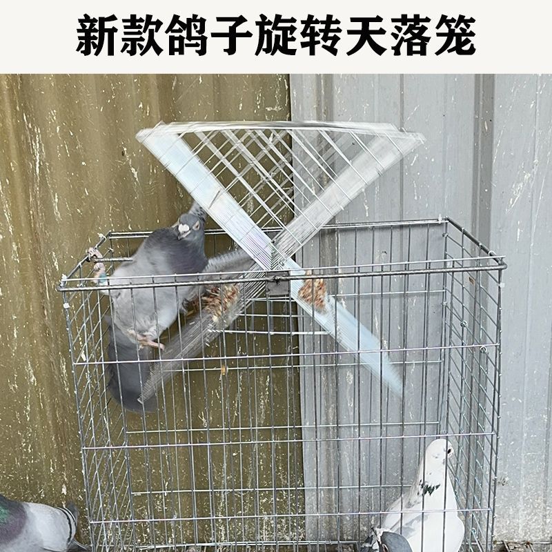 Pigeon Cage, Automatic Flipping Cage for Pigeon Collection, Only in and Out, Pigeon Collection Tool, Rotating Pigeon Cage