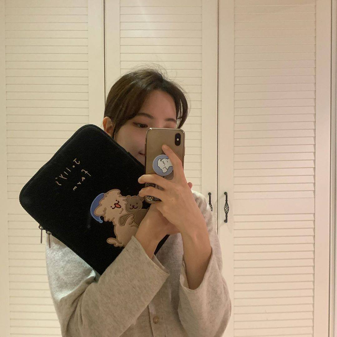 Cute flat iPad bag is suitable for pro11 inch new air3 liner 10.5ins protective sleeve storage bag