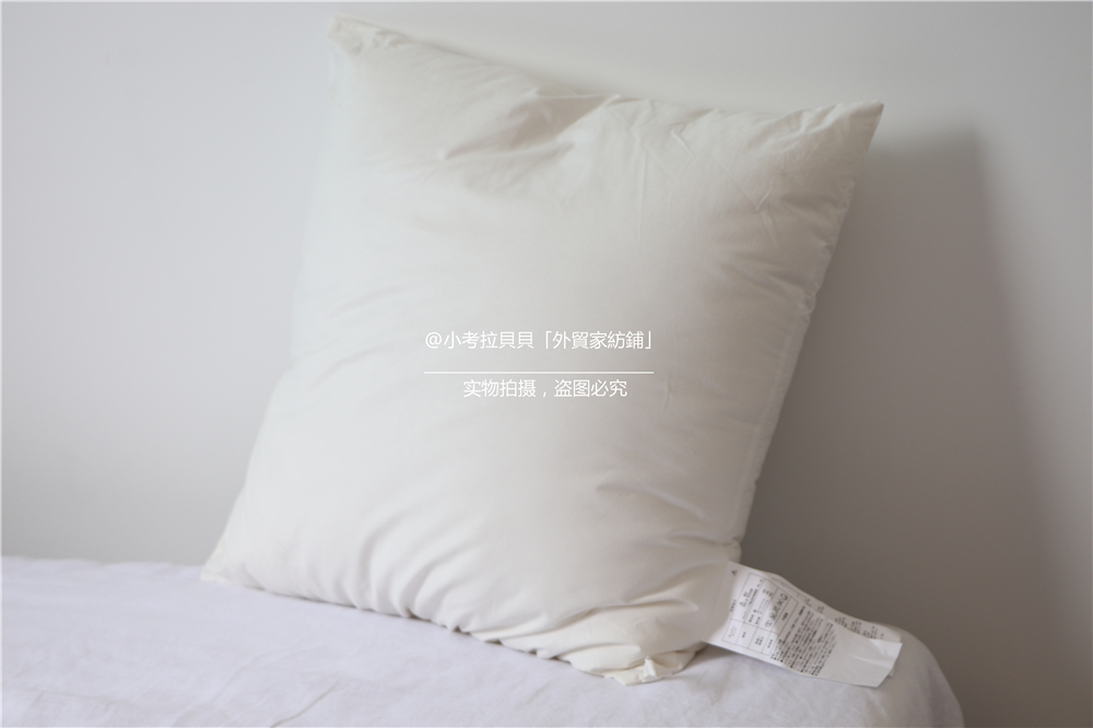 Export Japan Down Sofa Pillow Cushion Cushion Pillow Cover Pillow Core Hotel Pillow Medium Pillow 60 * 60 48 * 74