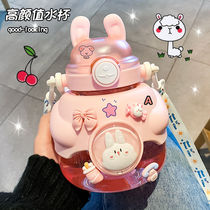 Big belly cup childrens sippy cup large capacity double drinking mouth good looks ins style hugging rabbit hand-carrying cartoon water cup