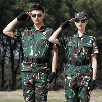 Охотничий камуфляж (топ+штаны+шапка+пояс)