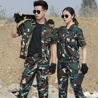 Хантер камуфляж короткий (вверху+брюки)