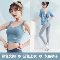 Синий+серый три -набор штук TC9239