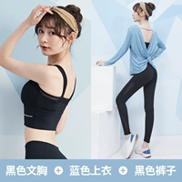 [Длинной рукав] черный+синий три -купюр TC12267