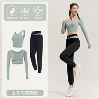 [Длинное рукав] Bud Green+Black Three -Piece TC67433