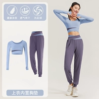 [Длинное рукав] серо -синий+серо -серо -пурпурный двухлетний TC67428