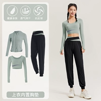 [Длинное рукав] Bud Green+Black Three -Piece TC67436