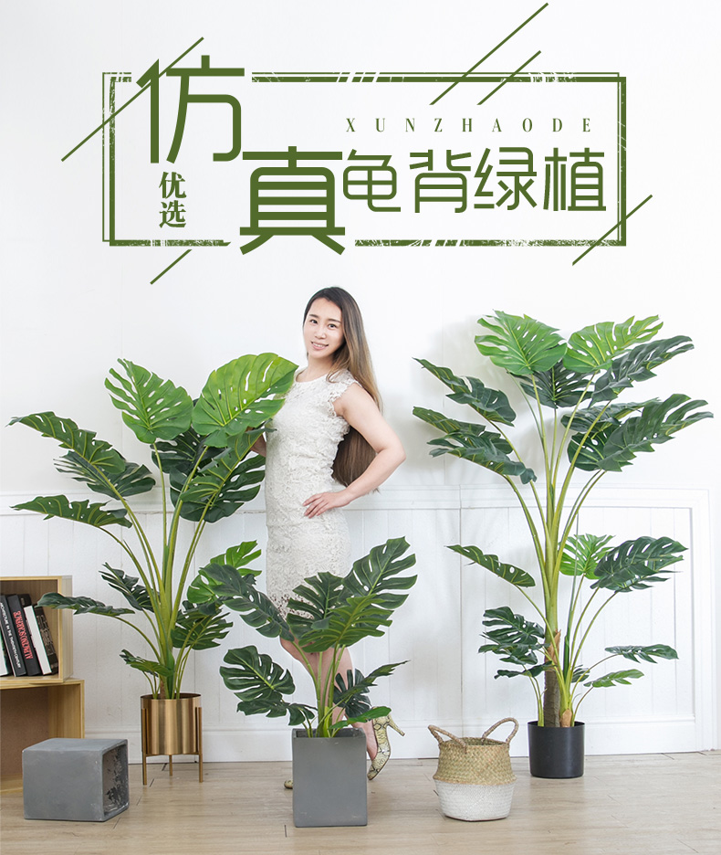假花仿真小盆栽迷你假花盆北歐仿真龜背葉植物室內假盆栽客廳大型綠植落地擺件ins植物裝飾台北百貨 Yahoo奇摩拍賣 假花仿真小盆栽迷你假花盆北歐仿真龜背葉植物室內假盆栽客廳大型綠植落地擺件ins植物裝飾台北百貨 Yahoo奇摩拍賣