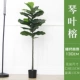 Bắc Âu lớn trong nhà giả hoa chậu cây phòng khách mô phỏng trang trí cây xanh du lịch chuối nhân tạo cây hạ cánh cây giả - Hoa nhân tạo / Cây / Trái cây bình hoa lựu giả