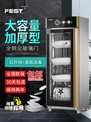 FEST double door disinfection cabinet commercial vertical single door large capacity stainless steel dishes cleaning cabinet kitchen canteen tableware